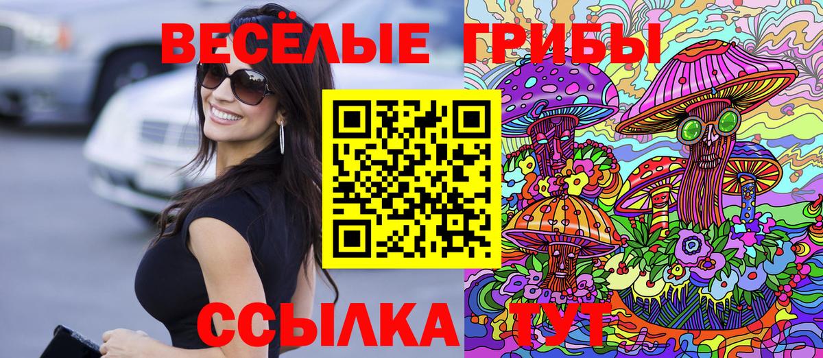 Каменск-Уральский  Галлюциногенные грибы мицелий  сколько стоит  Вход с VPN 