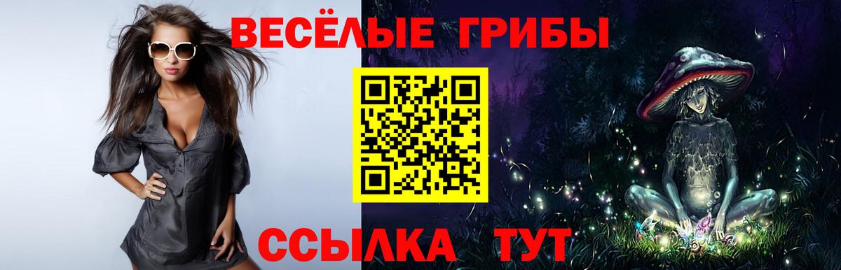 Псилоцибиновые грибы прущие грибы Каменск-Уральский